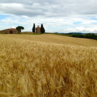 June 2016: One of many beautiful Tuscan scenes, this one during one of our hiking days